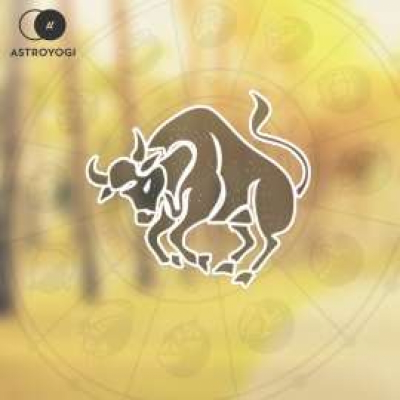 Birthsign Taurus / Vrish