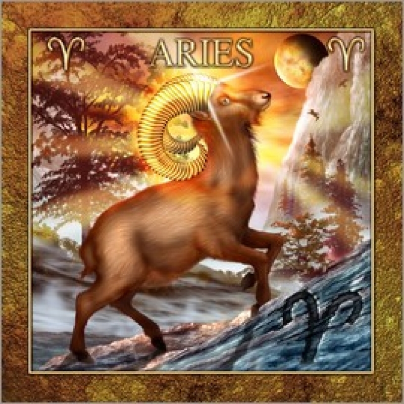 Birth Day Yagya Aries