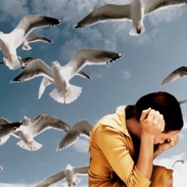 Help in fear and phobia